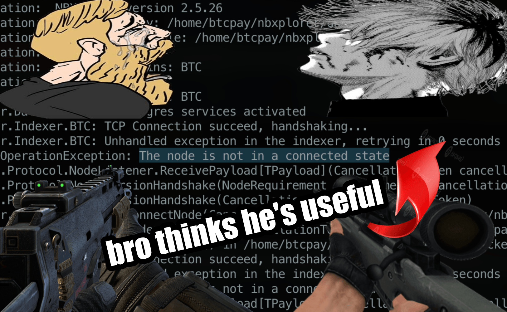 "The node is not in a connected state" error in NBXplorer